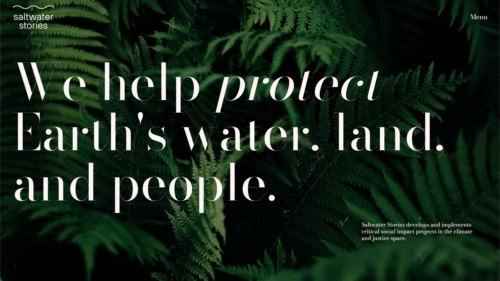 Saltwater Stories website